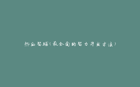 热血智辅(最全面的智力开发方法)