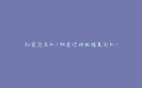机密突击队(秘密行动的精英团队)