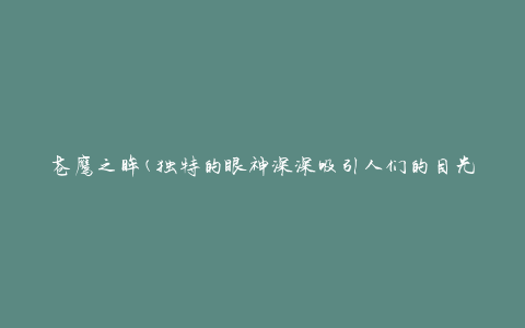 苍鹰之眸(独特的眼神深深吸引人们的目光)