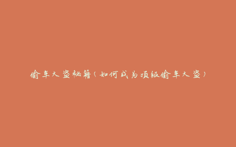 偷车大盗秘籍(如何成为顶级偷车大盗)