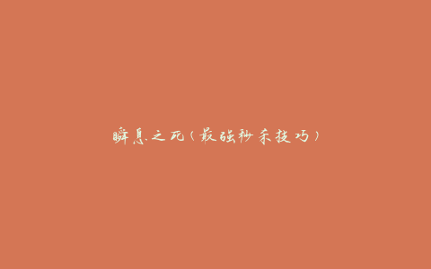 瞬息之死(最强秒杀技巧)
