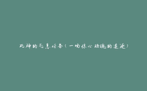 死神的气息任务(一场惊心动魄的追逐)