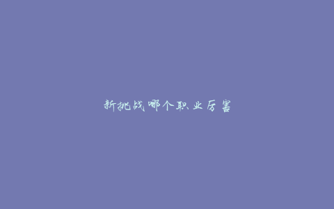 新挑战哪个职业厉害
