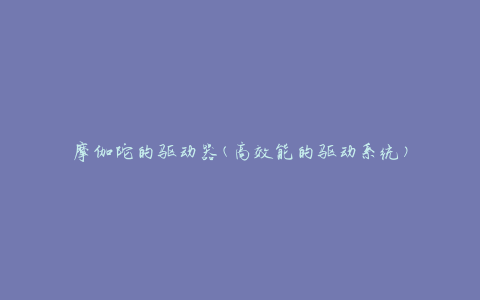 摩伽陀的驱动器(高效能的驱动系统)