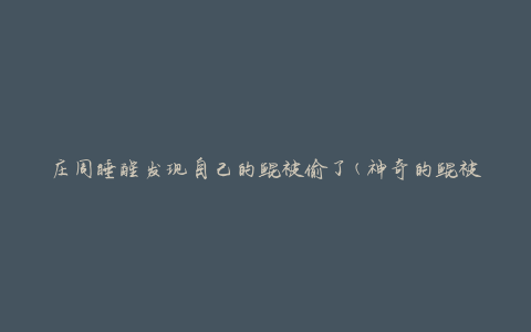 庄周睡醒发现自己的鲲被偷了(神奇的鲲被盗，庄周醒来后发现鲲不见了)