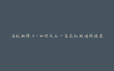 活跃的探子(如何成为一名高效的情报搜集者)
