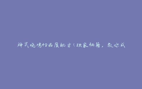神武烧烤40品质配方(独家秘籍，教你成为烧烤大师)