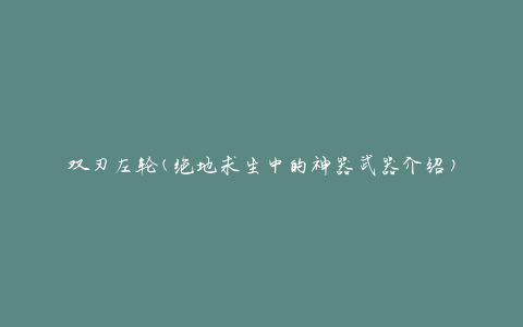 双刃左轮(绝地求生中的神器武器介绍)