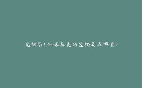 宠物岛(全球最美的宠物岛在哪里)