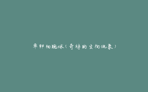 单卵细胞球(奇特的生物现象)