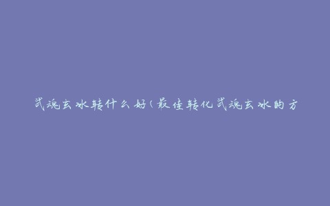 武魂玄冰转什么好(最佳转化武魂玄冰的方法)