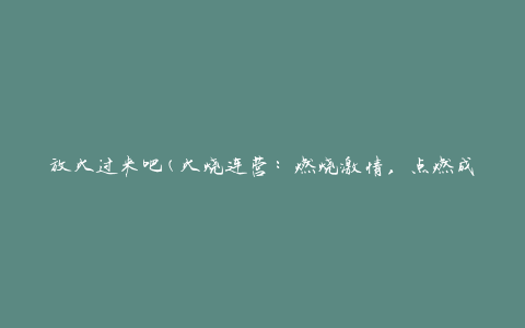 放火过来吧(火烧连营：燃烧激情，点燃成功之路)