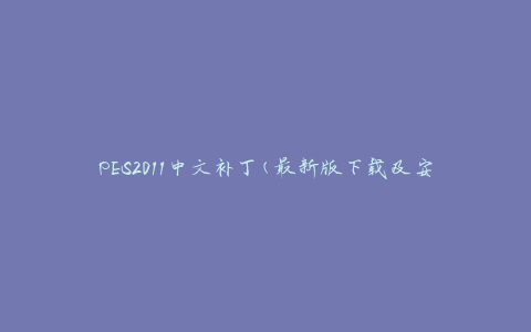 PES2011中文补丁(最新版下载及安装教程)