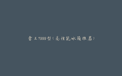 雪王9000型(高性能冰箱推荐)