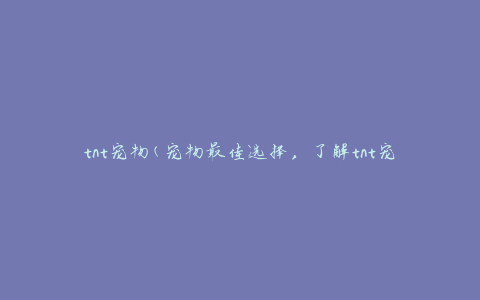 tnt宠物(宠物最佳选择，了解tnt宠物的优势和特点)