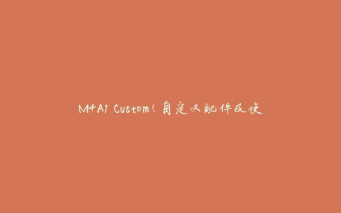 M4A1 Custom(自定义配件及使用技巧)