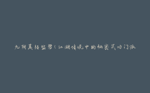 九阴真经盐帮(江湖传说中的秘密武功门派)
