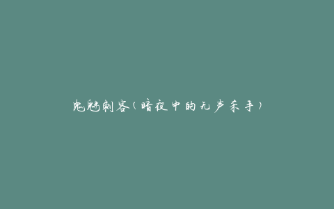 鬼魅刺客(暗夜中的无声杀手)