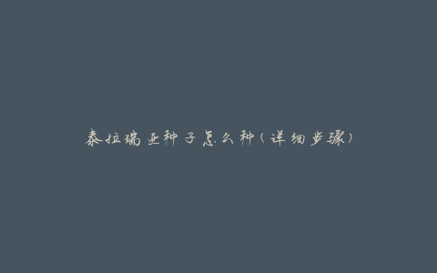 泰拉瑞亚种子怎么种(详细步骤)