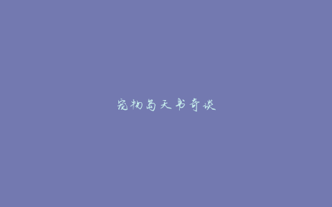 宠物岛天书奇谈