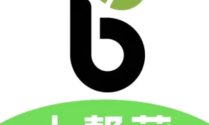 小帮菜平板端