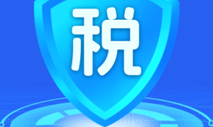 个税申报退税查询