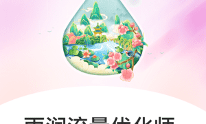 雨润流量优化师