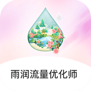 雨润流量优化师