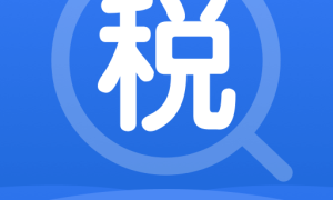 税务快速查