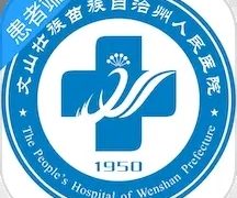 掌上文医
