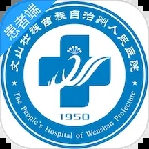 掌上文医