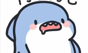 ak直装最新1.9免卡密版
