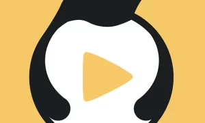 新月直播下载免费版下载app