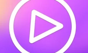 黑白直播app下载手机版