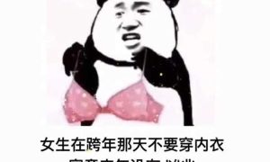 女孩子跨年那天不要穿内衣表情包