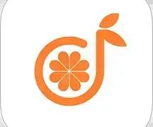 青橙器乐学习网