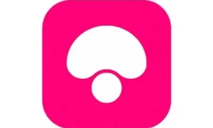 芭比直播免费播放app安卓版