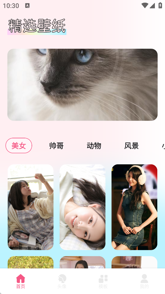 玫瑰壁纸