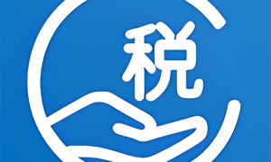个税掌中宝