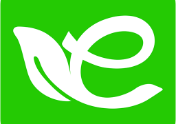 E享