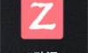 z动漫