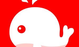 北极海新闻