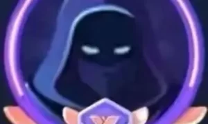 菠萝菠萝蜜视频在线免费观看安卓版