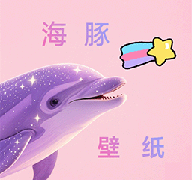 海豚壁纸